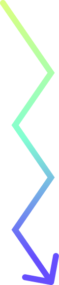 Vector